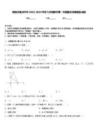 湘西市重点中学2023-2024学年八年级数学第一学期期末经典模拟试题含答案