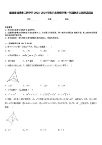 福建省福清市江阴中学2023-2024学年八年级数学第一学期期末达标测试试题含答案