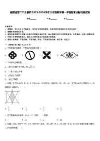 福建省晋江市永春县2023-2024学年八年级数学第一学期期末达标检测试题含答案