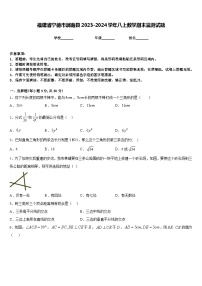 福建省宁德市屏南县2023-2024学年八上数学期末监测试题含答案