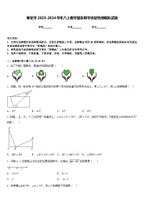 莱芜市2023-2024学年八上数学期末教学质量检测模拟试题含答案