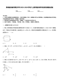 贵州省安顺市第五中学2023-2024学年八上数学期末教学质量检测模拟试题含答案