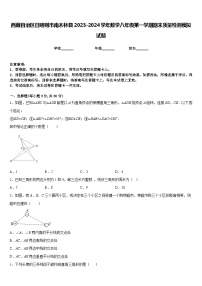 西藏自治区日喀则市南木林县2023-2024学年数学八年级第一学期期末质量检测模拟试题含答案