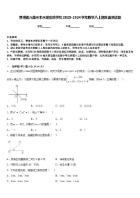 贵州省六盘水市水城实验学校2023-2024学年数学八上期末监测试题含答案