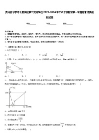 贵州省毕节市七星关区第三实验学校2023-2024学年八年级数学第一学期期末经典模拟试题含答案