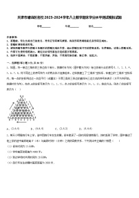 天津市塘沽区名校2023-2024学年八上数学期末学业水平测试模拟试题含答案