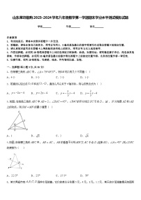 山东潍坊临朐2023-2024学年八年级数学第一学期期末学业水平测试模拟试题含答案