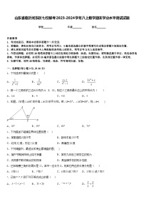 山东省临沂河东区七校联考2023-2024学年八上数学期末学业水平测试试题含答案