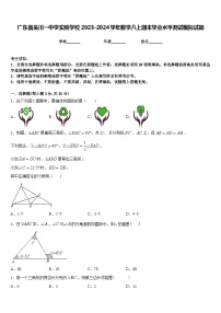 广东省吴川一中学实验学校2023-2024学年数学八上期末学业水平测试模拟试题含答案