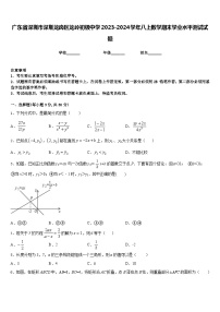 广东省深圳市深圳龙岗区龙岭初级中学2023-2024学年八上数学期末学业水平测试试题含答案