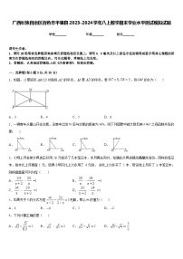 广西壮族自治区百色市平果县2023-2024学年八上数学期末学业水平测试模拟试题含答案