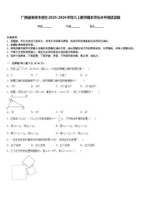 广西省来宾市名校2023-2024学年八上数学期末学业水平测试试题含答案