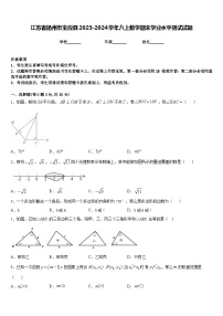 江苏省扬州市宝应县2023-2024学年八上数学期末学业水平测试试题含答案