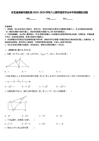 河北省承德市隆化县2023-2024学年八上数学期末学业水平测试模拟试题含答案