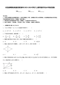 河北省秦皇岛海港区四校联考2023-2024学年八上数学期末学业水平测试试题含答案