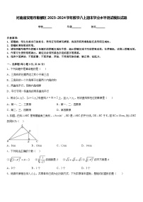 河南省安阳市殷都区2023-2024学年数学八上期末学业水平测试模拟试题含答案