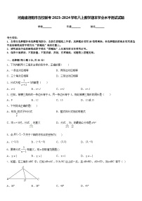 河南省洛阳市五校联考2023-2024学年八上数学期末学业水平测试试题含答案