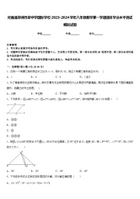 河南省郑州市郑中学国际学校2023-2024学年八年级数学第一学期期末学业水平测试模拟试题含答案