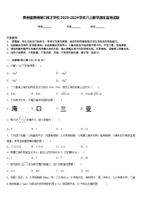 贵州省贵州铜仁伟才学校2023-2024学年八上数学期末监测试题含答案