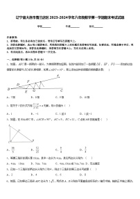 辽宁省大连市普兰店区2023-2024学年八年级数学第一学期期末考试试题含答案