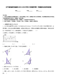 辽宁省抚顺市抚顺县2023-2024学年八年级数学第一学期期末达标检测试题含答案