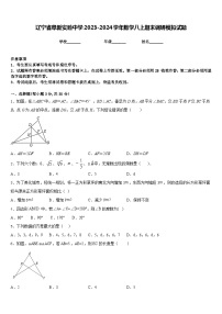 辽宁省阜新实验中学2023-2024学年数学八上期末调研模拟试题含答案