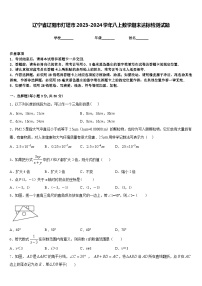 辽宁省辽阳市灯塔市2023-2024学年八上数学期末达标检测试题含答案