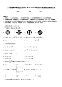 辽宁省锦州市滨海期实验学校2023-2024学年数学八上期末质量检测试题含答案