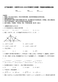 辽宁省沈阳市一三四中学2023-2024学年数学八年级第一学期期末调研模拟试题含答案