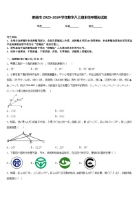 那曲市2023-2024学年数学八上期末统考模拟试题含答案