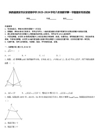 陕西省西安市庆安初级中学2023-2024学年八年级数学第一学期期末检测试题含答案