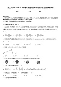 重庆八中学2023-2024学年八年级数学第一学期期末复习检测模拟试题含答案