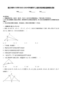 重庆市第十八中学2023-2024学年数学八上期末质量跟踪监视模拟试题含答案