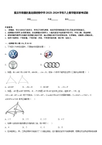 重庆市荣昌区盘龙镇初级中学2023-2024学年八上数学期末联考试题含答案