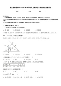 重庆市渝北中学2023-2024学年八上数学期末质量跟踪监视试题含答案