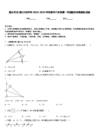 重庆市合川区太和中学2023-2024学年数学八年级第一学期期末经典模拟试题含答案