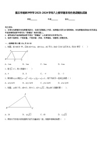 重庆市杨家坪中学2023-2024学年八上数学期末综合测试模拟试题含答案