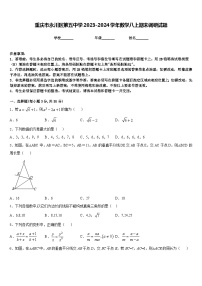 重庆市永川区第五中学2023-2024学年数学八上期末调研试题含答案