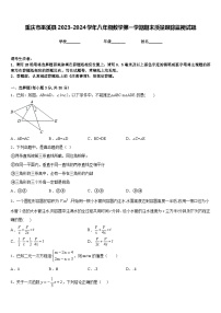 重庆市巫溪县2023-2024学年八年级数学第一学期期末质量跟踪监视试题含答案