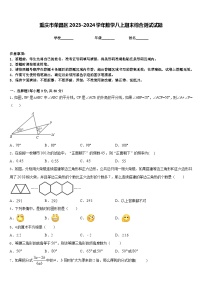 重庆市荣昌区2023-2024学年数学八上期末综合测试试题含答案