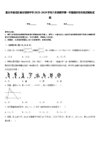 重庆市渝北区渝汉初级中学2023-2024学年八年级数学第一学期期末综合测试模拟试题含答案