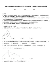 黑龙江省哈尔滨市哈十七中学2023-2024学年八上数学期末综合测试模拟试题含答案
