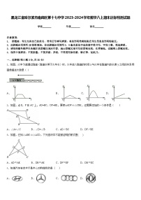 黑龙江省哈尔滨市南岗区第十七中学2023-2024学年数学八上期末达标检测试题含答案