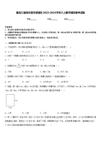 黑龙江省哈尔滨市双城区2023-2024学年八上数学期末联考试题含答案