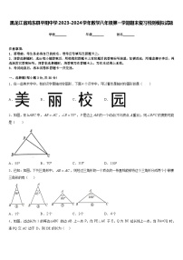 黑龙江省鸡东县平阳中学2023-2024学年数学八年级第一学期期末复习检测模拟试题含答案