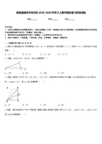 陕西省西安市经开区2023-2024学年八上数学期末复习检测试题含答案