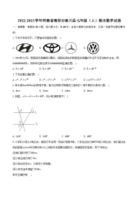 2022-2023学年河南省南阳市淅川县七年级（上）期末数学试卷（含解析）