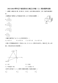 2023-2024学年辽宁省沈阳市大东区九年级（上）期末数学试卷（含解析）