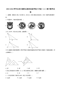 2023-2024学年北京市朝阳区蒋府实验学校八年级（上）期中数学试卷(含解析）