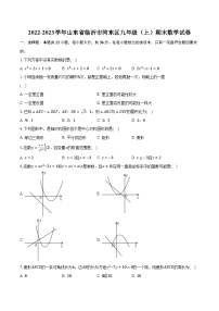 2022-2023学年山东省临沂市河东区九年级（上）期末数学试卷(含解析）